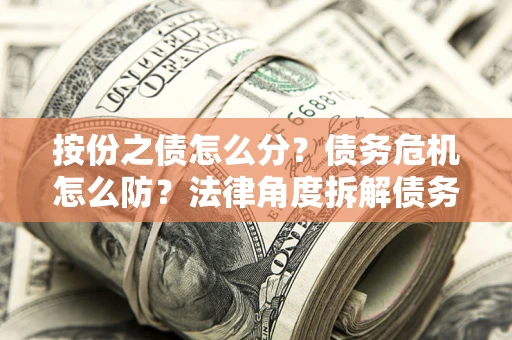 武汉按份之债怎么分？债务危机怎么防？法律角度拆解债务分配与风险自保指南