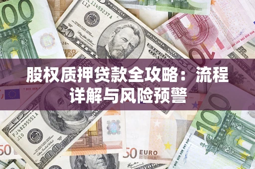 武汉股权质押贷款全攻略：流程详解与风险预警