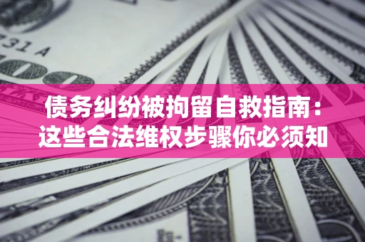 武汉债务纠纷被拘留自救指南：这些合法维权步骤你必须知道！