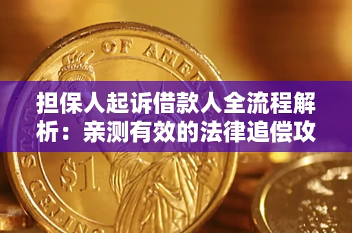 武汉担保人起诉借款人全流程解析：亲测有效的法律追偿攻略