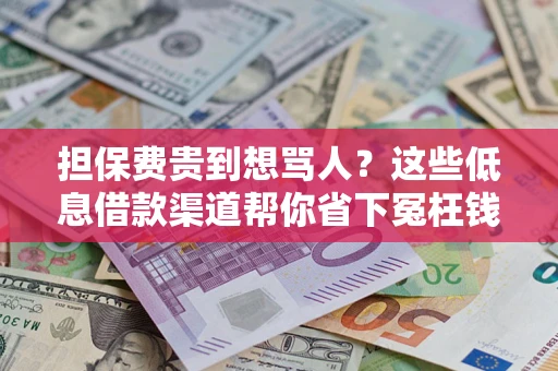 武汉担保费贵到想骂人？这些低息借款渠道帮你省下冤枉钱