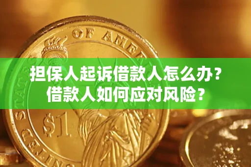 武汉担保人起诉借款人怎么办？借款人如何应对风险？