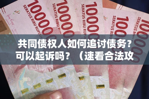 武汉共同债权人如何追讨债务？可以起诉吗？（速看合法攻略）