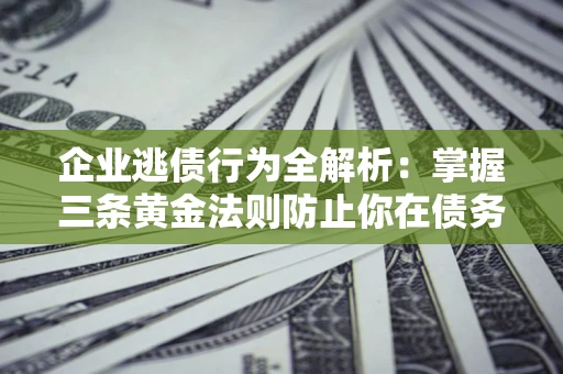 武汉企业逃债行为全解析：掌握三条黄金法则防止你在债务乱局中“踩雷”