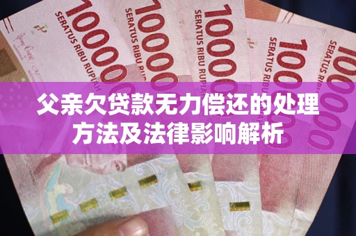 武汉父亲欠贷款无力偿还的处理方法及法律影响解析