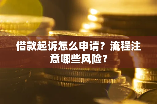 武汉借款起诉怎么申请？流程注意哪些风险？