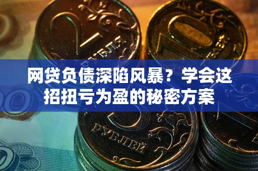 武汉网贷负债深陷风暴？学会这招扭亏为盈的秘密方案